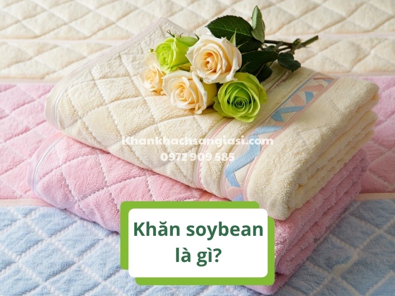 Khan soybean la gi