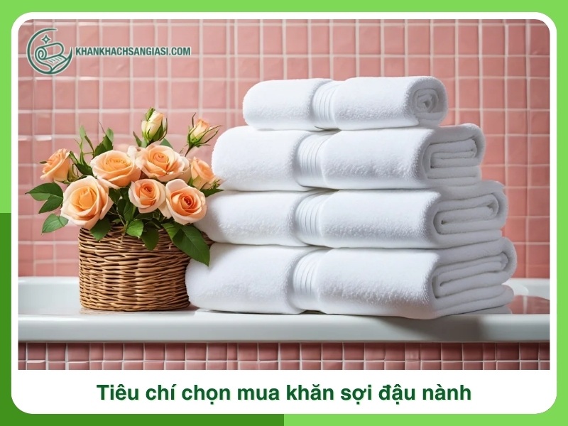 Tieu chi chon mua khan soi dau nanh