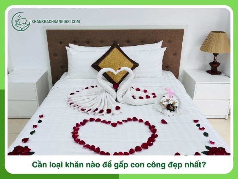 Can loai khan nao de gap con cong dep nhat