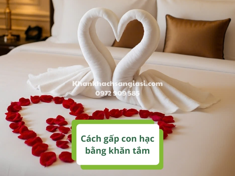 cach gap con cong bang khan tam