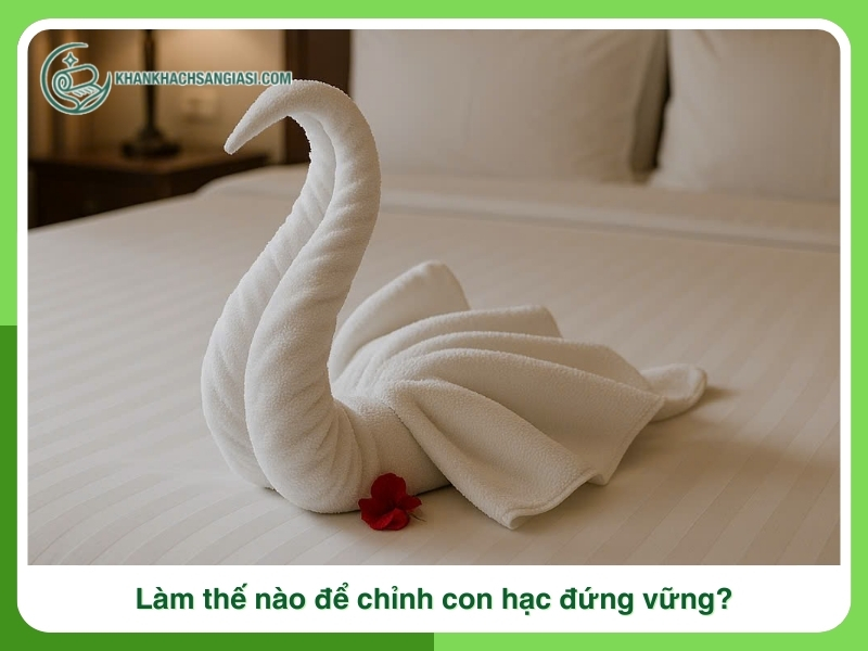 Lam the nao de chinh con hac dung vung