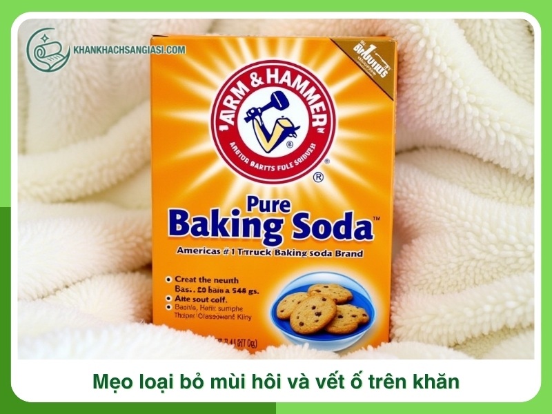 Meo loai bo mui hoi va vet o tren khan dung o spa