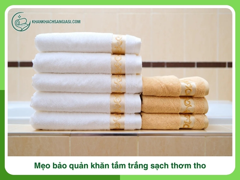 Meo bao quan khan tam trang sach thom tho