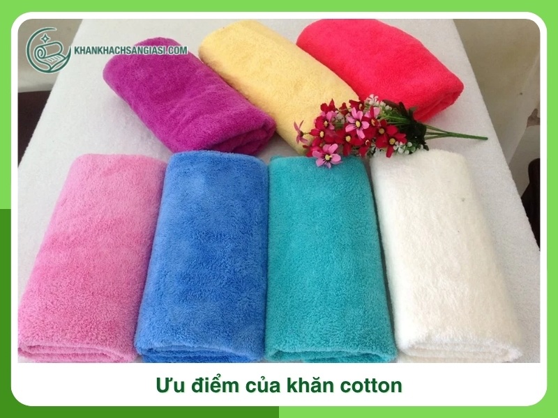 Uu diem khan cotton