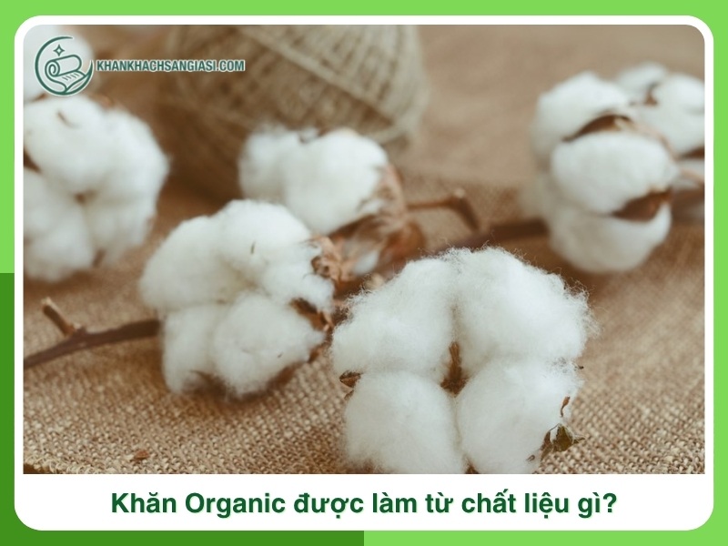 Khan Organic duoc lam tu chat lieu gi