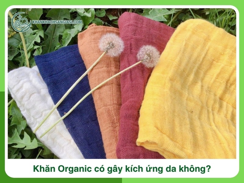 Khan Organic co gay kich ung da khong