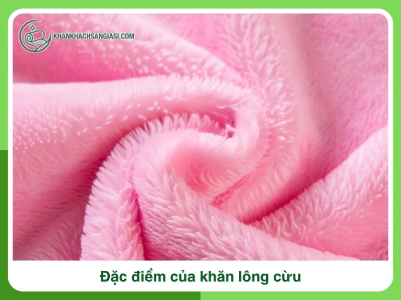 Dac diem cua khan long cuu