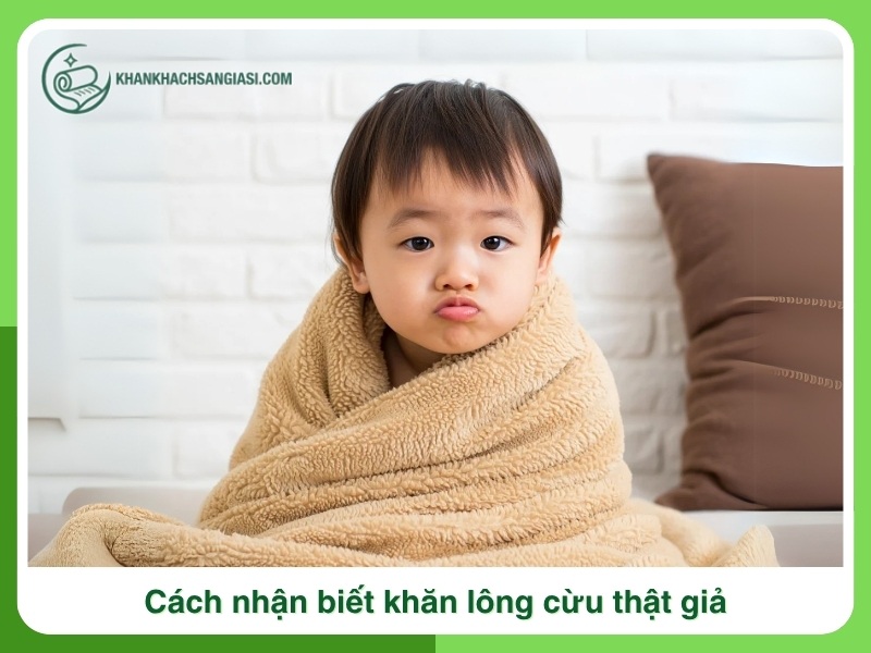 Cach nhan biet khan long cuu that gia