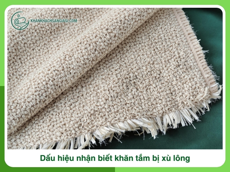 Dau hieu nhan biet khan tam bi xu long