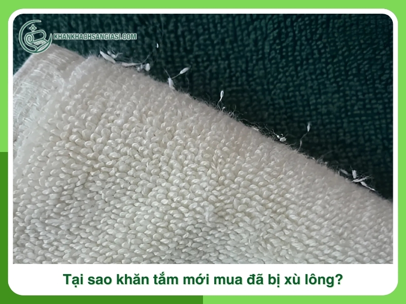 Tai sao khan tam moi mua da bi xu long