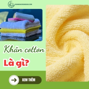 Khăn cotton là gì?