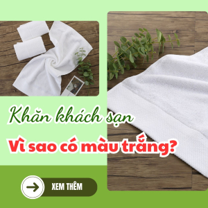 Khăn khách sạn vì sao có màu trắng?